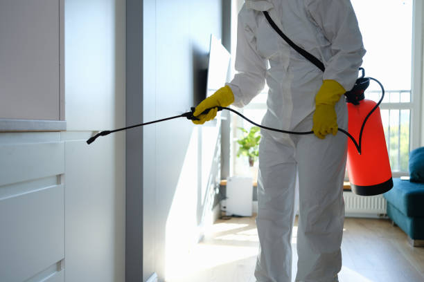 Best Mold Remediation for Schools in Upper Saddle River, NJ