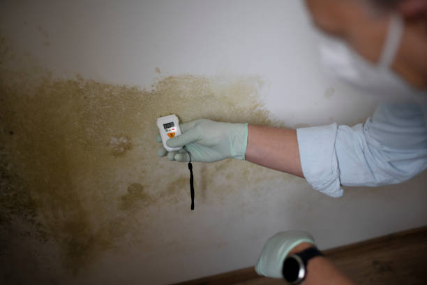 Best Post-Remediation Services in Upper Saddle River, NJ