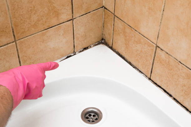 Best Post-Flood Mold Remediation in Upper Saddle River, NJ